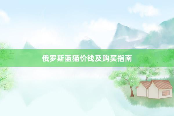 俄罗斯蓝猫价钱及购买指南